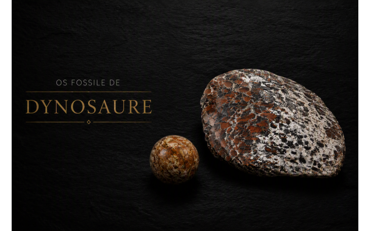 PENDENTIF FEMME AVEC PERLE EN OS DE DINOSAURE FOSSILE ET ARGENT MASSIF 925e