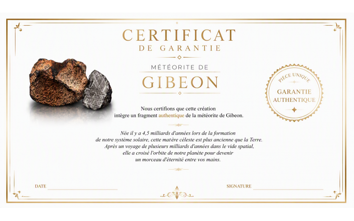 CERTIFICAT PENDENTIF FEMME EN METEORITE DE GIBEON PLAQUE OR PENDENTIF ET CHAINE ARGENT 925